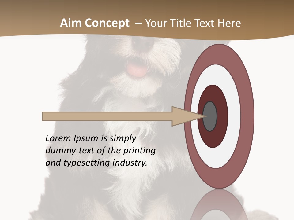 A Small Brown And White Dog Sitting On A White Background PowerPoint Template