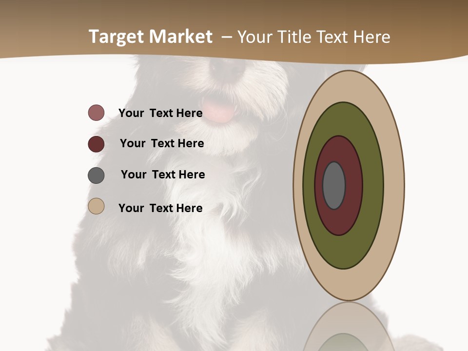 A Small Brown And White Dog Sitting On A White Background PowerPoint Template