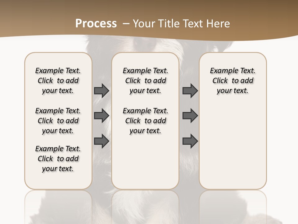A Small Brown And White Dog Sitting On A White Background PowerPoint Template