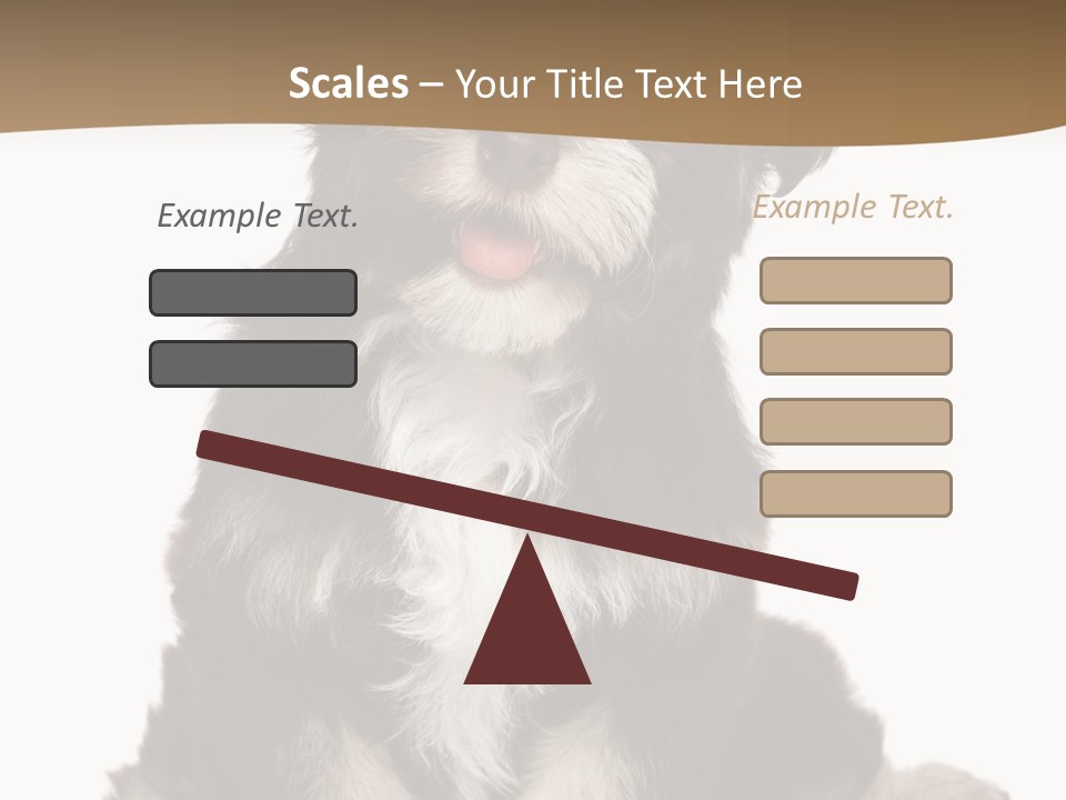 A Small Brown And White Dog Sitting On A White Background PowerPoint Template