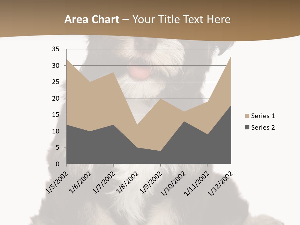 A Small Brown And White Dog Sitting On A White Background PowerPoint Template