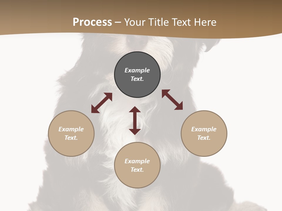 A Small Brown And White Dog Sitting On A White Background PowerPoint Template