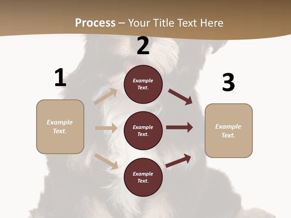 A Small Brown And White Dog Sitting On A White Background PowerPoint Template