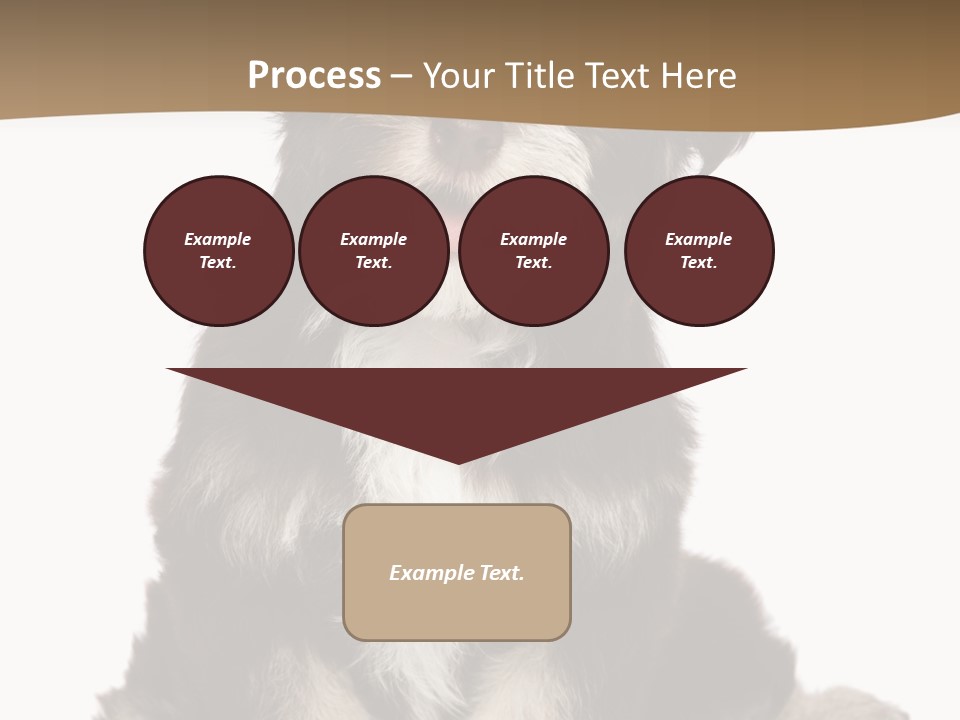 A Small Brown And White Dog Sitting On A White Background PowerPoint Template