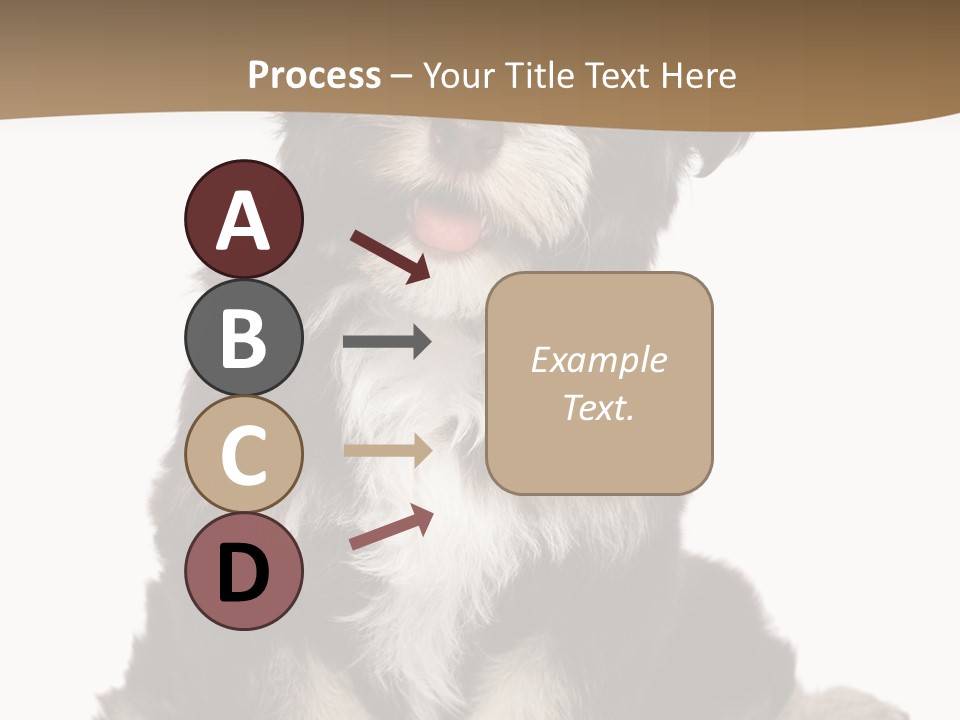 A Small Brown And White Dog Sitting On A White Background PowerPoint Template