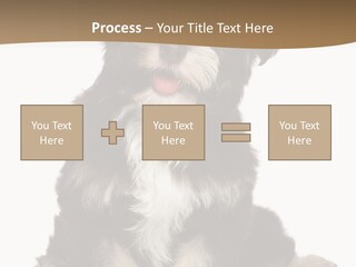 A Small Brown And White Dog Sitting On A White Background PowerPoint Template