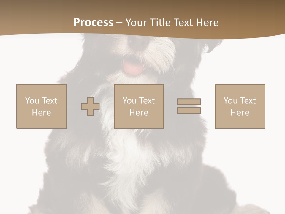 A Small Brown And White Dog Sitting On A White Background PowerPoint Template