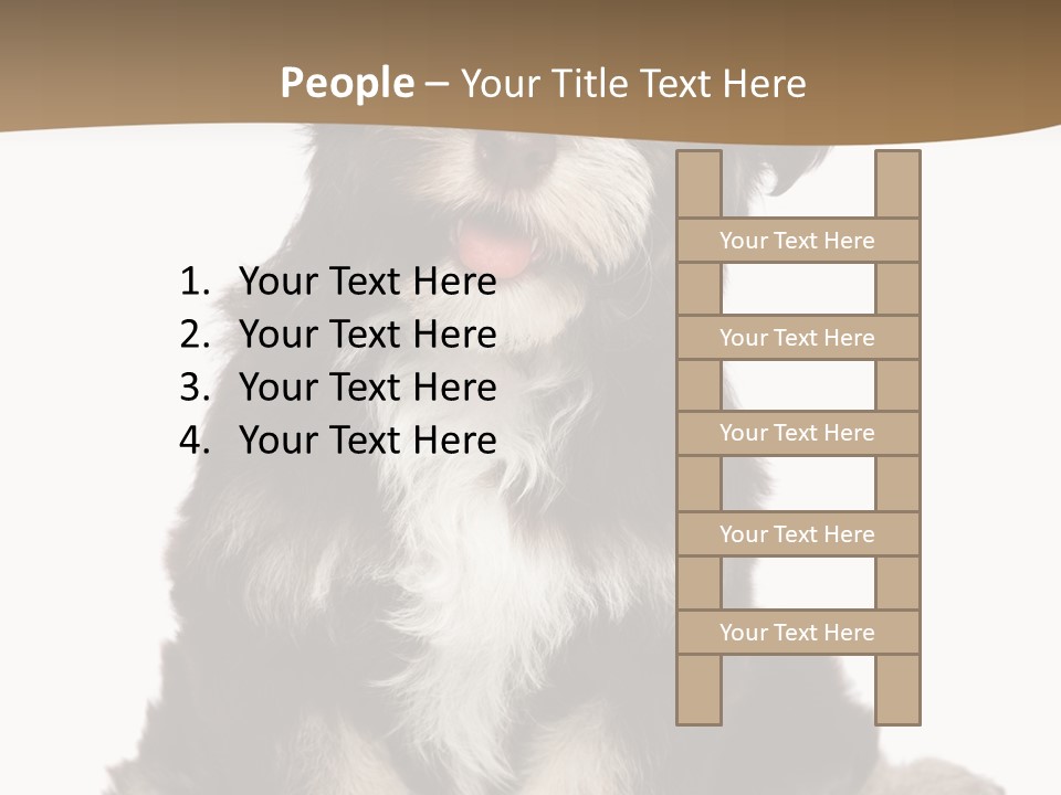 A Small Brown And White Dog Sitting On A White Background PowerPoint Template