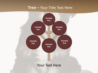 A Small Brown And White Dog Sitting On A White Background PowerPoint Template