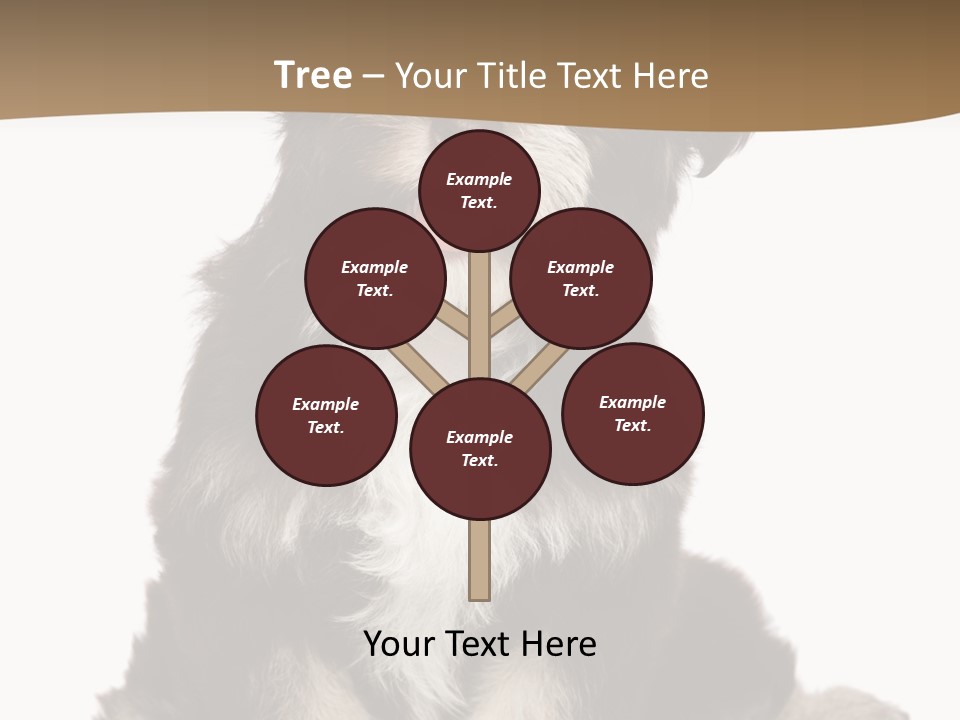 A Small Brown And White Dog Sitting On A White Background PowerPoint Template