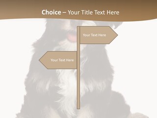 A Small Brown And White Dog Sitting On A White Background PowerPoint Template