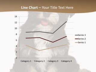 A Small Brown And White Dog Sitting On A White Background PowerPoint Template