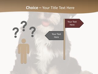 A Small Brown And White Dog Sitting On A White Background PowerPoint Template