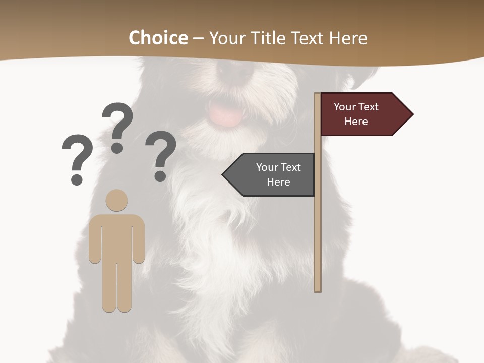 A Small Brown And White Dog Sitting On A White Background PowerPoint Template