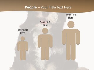 A Small Brown And White Dog Sitting On A White Background PowerPoint Template