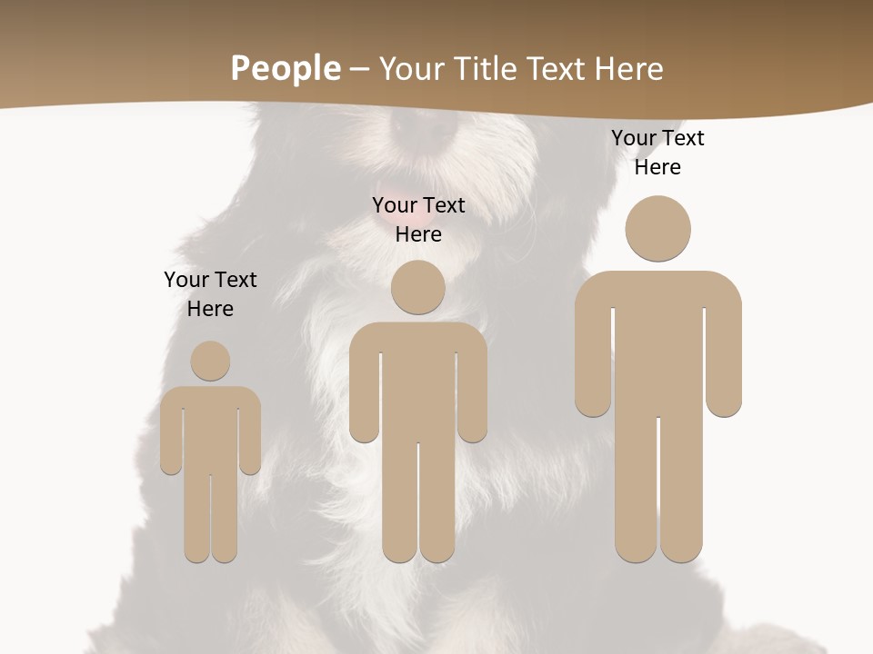 A Small Brown And White Dog Sitting On A White Background PowerPoint Template