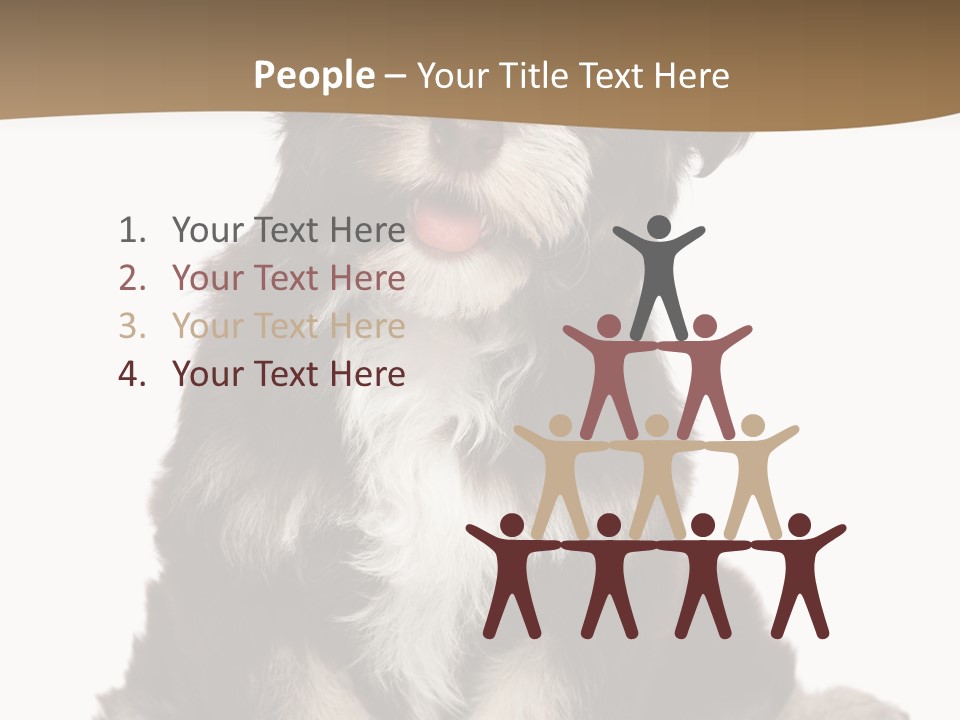 A Small Brown And White Dog Sitting On A White Background PowerPoint Template