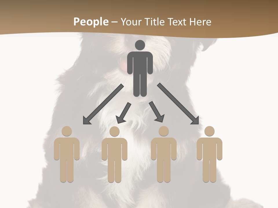 A Small Brown And White Dog Sitting On A White Background PowerPoint Template