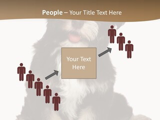 A Small Brown And White Dog Sitting On A White Background PowerPoint Template