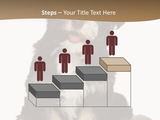 A Small Brown And White Dog Sitting On A White Background PowerPoint Template