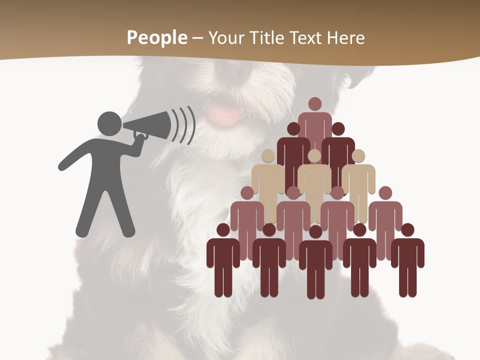 A Small Brown And White Dog Sitting On A White Background PowerPoint Template