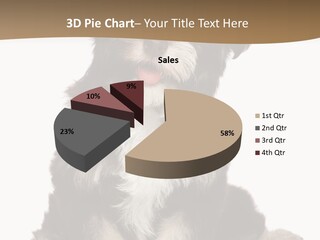 A Small Brown And White Dog Sitting On A White Background PowerPoint Template