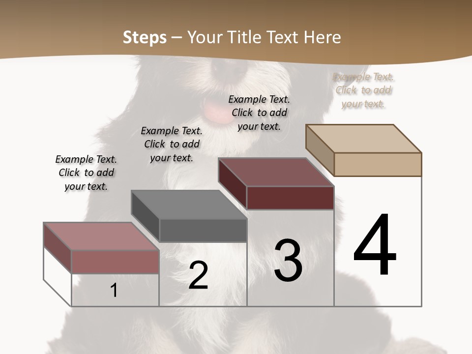 A Small Brown And White Dog Sitting On A White Background PowerPoint Template