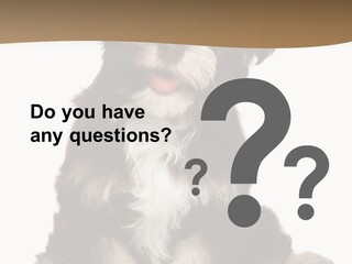 A Small Brown And White Dog Sitting On A White Background PowerPoint Template