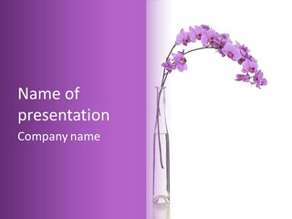 A Vase With Purple Flowers On A White And Purple Background PowerPoint Template