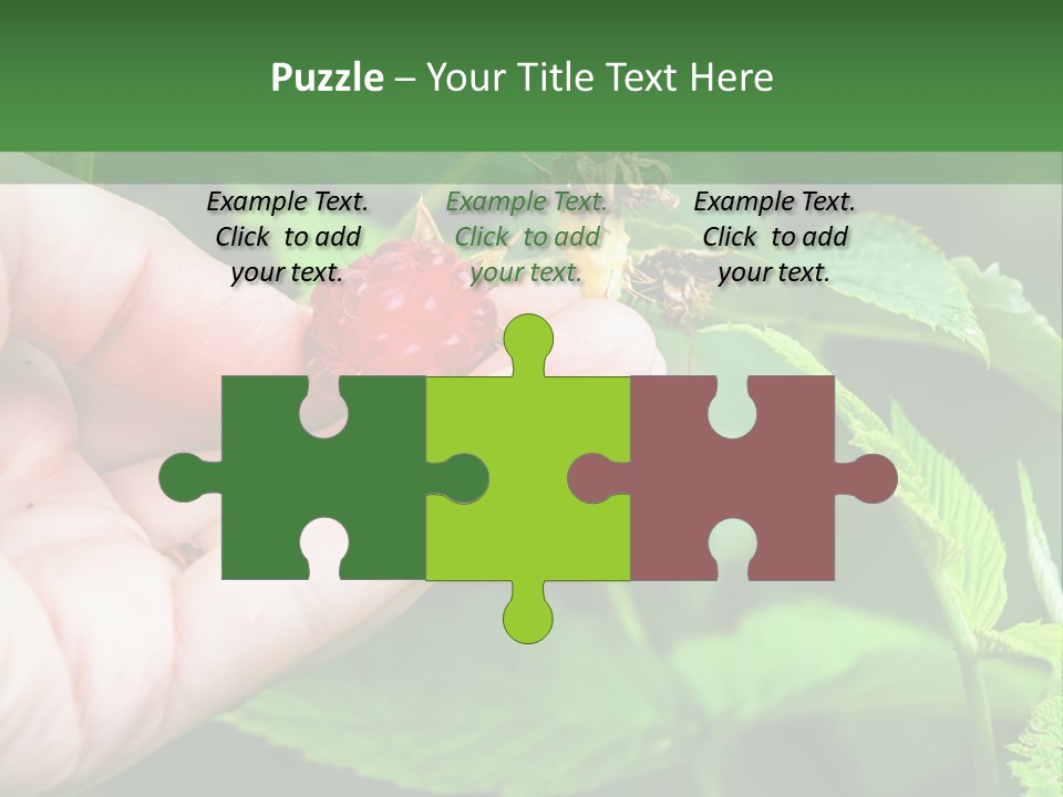 A Person Holding A Berry In Their Hand PowerPoint Template