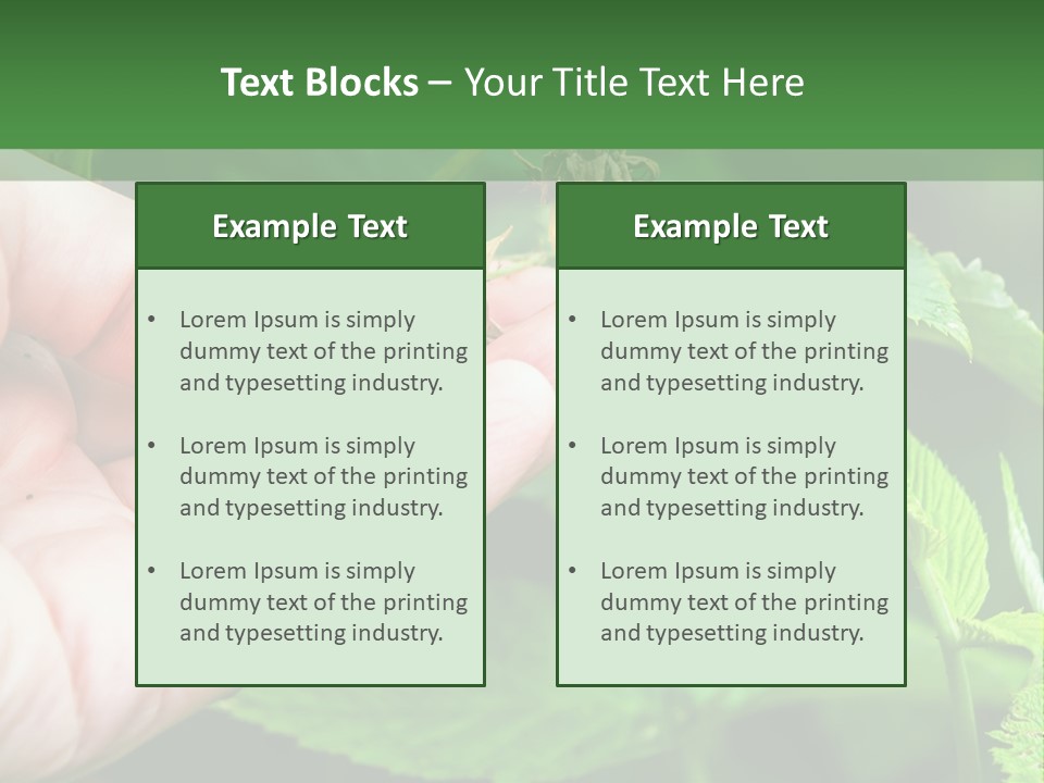 A Person Holding A Berry In Their Hand PowerPoint Template