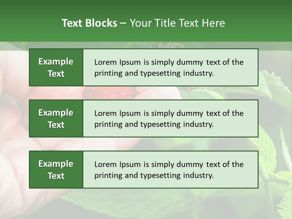 A Person Holding A Berry In Their Hand PowerPoint Template