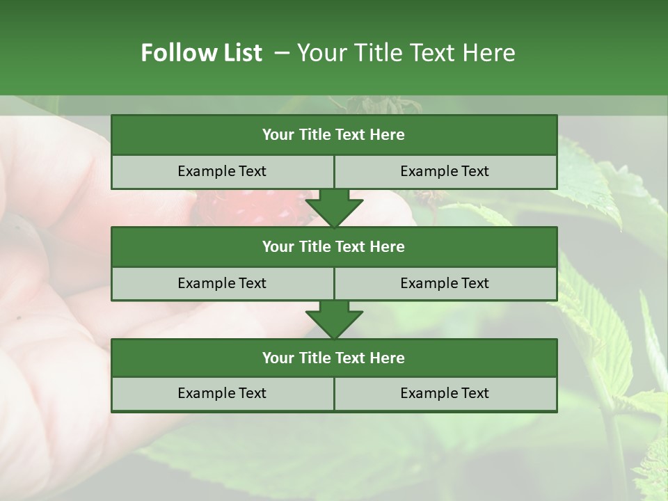 A Person Holding A Berry In Their Hand PowerPoint Template