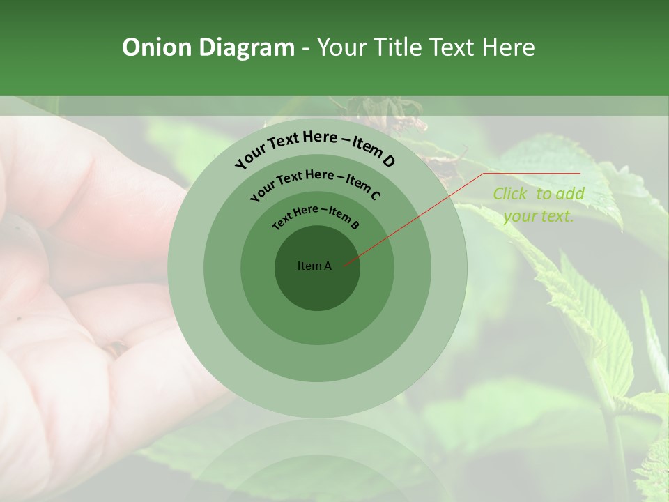 A Person Holding A Berry In Their Hand PowerPoint Template