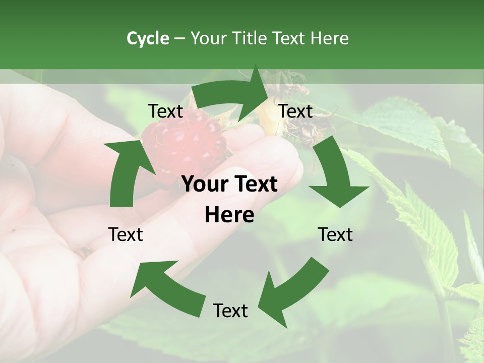 A Person Holding A Berry In Their Hand PowerPoint Template