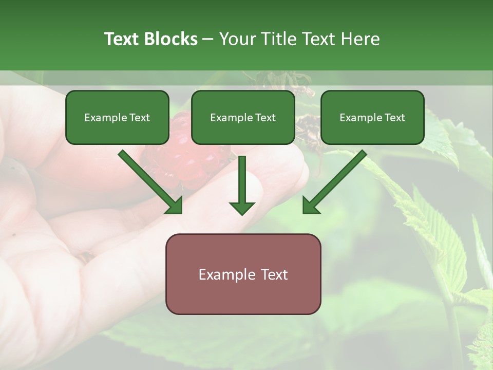 A Person Holding A Berry In Their Hand PowerPoint Template