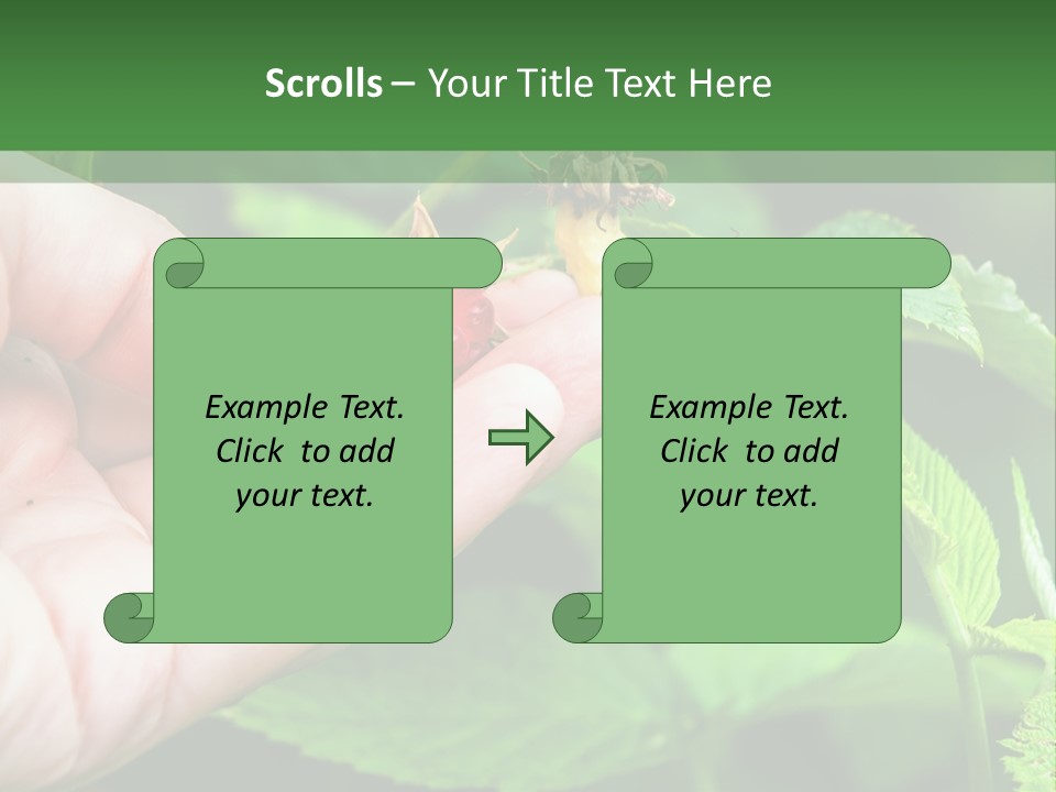 A Person Holding A Berry In Their Hand PowerPoint Template