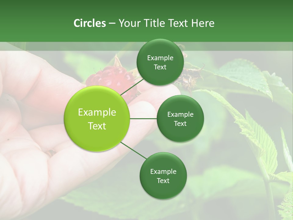 A Person Holding A Berry In Their Hand PowerPoint Template