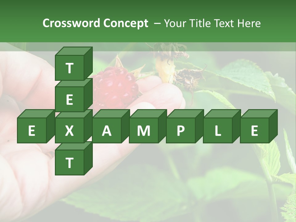 A Person Holding A Berry In Their Hand PowerPoint Template