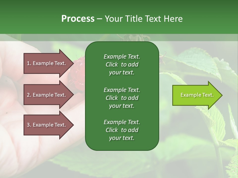 A Person Holding A Berry In Their Hand PowerPoint Template