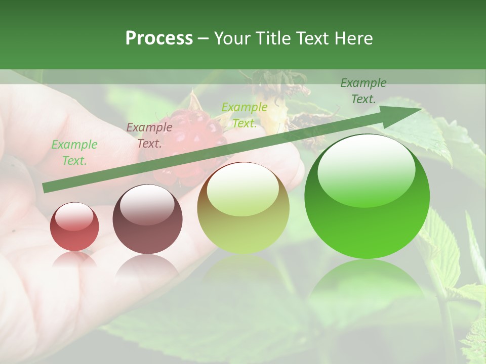 A Person Holding A Berry In Their Hand PowerPoint Template