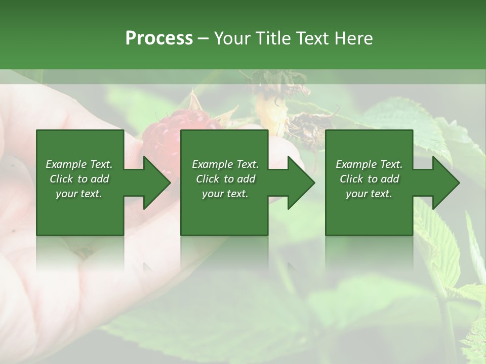 A Person Holding A Berry In Their Hand PowerPoint Template