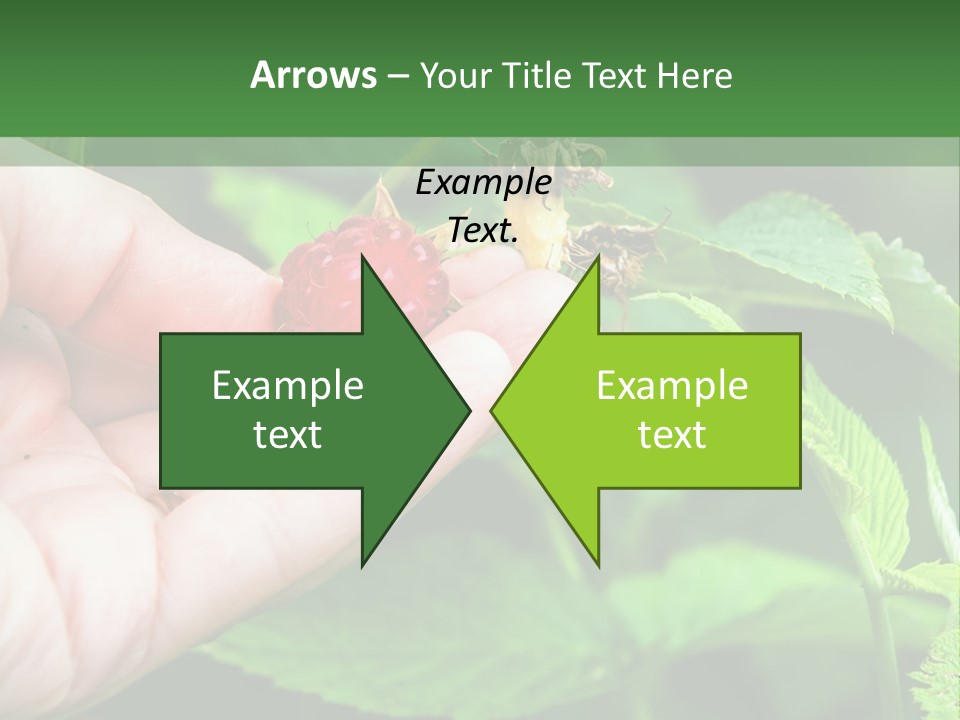 A Person Holding A Berry In Their Hand PowerPoint Template