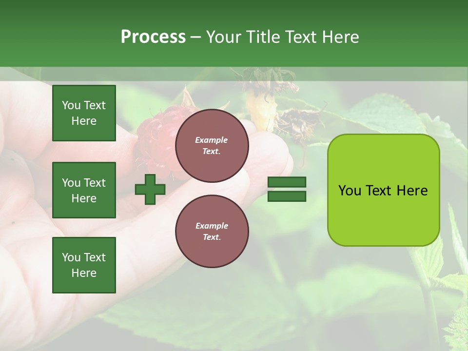 A Person Holding A Berry In Their Hand PowerPoint Template