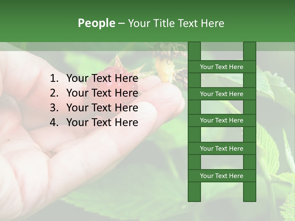 A Person Holding A Berry In Their Hand PowerPoint Template