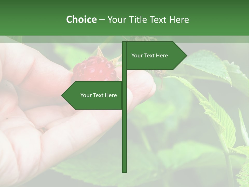 A Person Holding A Berry In Their Hand PowerPoint Template
