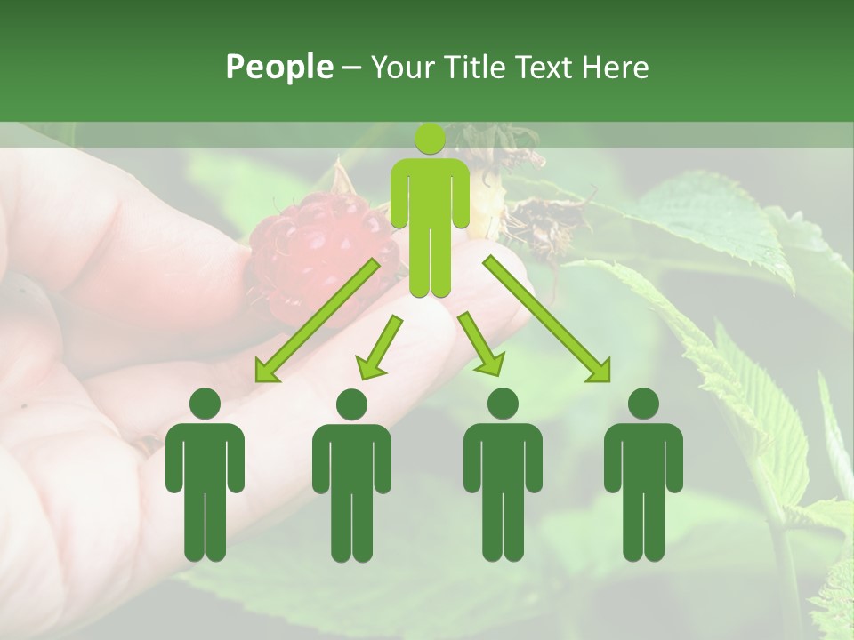 A Person Holding A Berry In Their Hand PowerPoint Template