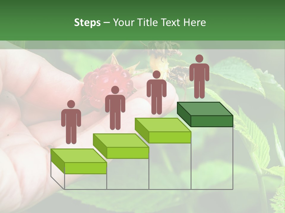 A Person Holding A Berry In Their Hand PowerPoint Template