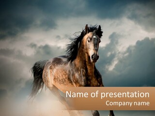 A Brown Horse Running Through A Cloudy Sky PowerPoint Template