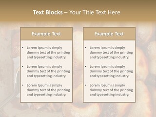 A Close Up Of Food On A Plate With A Spoon PowerPoint Template